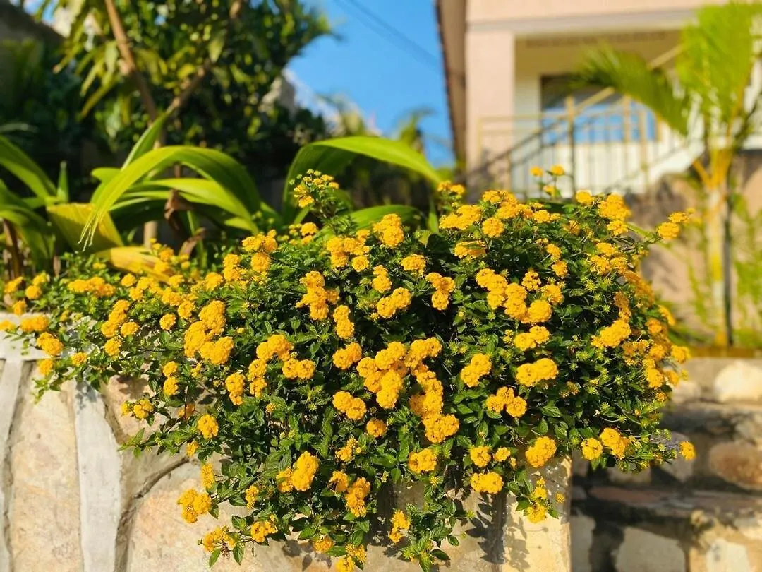 Blooming Homes Uganda Kampala 0*,